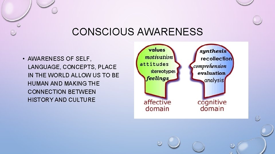 CONSCIOUS AWARENESS • AWARENESS OF SELF, LANGUAGE, CONCEPTS, PLACE IN THE WORLD ALLOW US