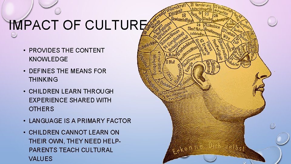 IMPACT OF CULTURE • PROVIDES THE CONTENT KNOWLEDGE • DEFINES THE MEANS FOR THINKING
