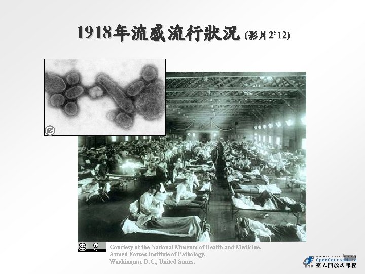 1918年流感流行狀況 (影片2’ 12) Courtesy of the National Museum of Health and Medicine, Armed Forces