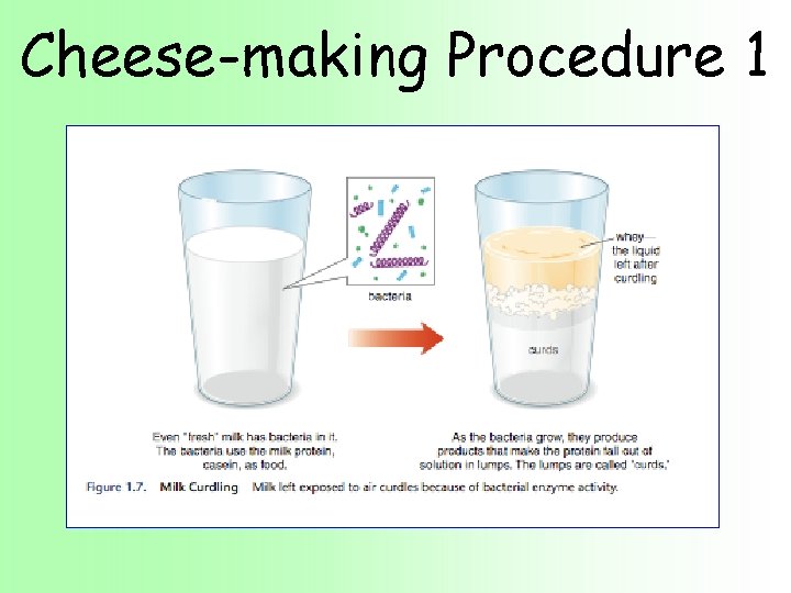 Cheese-making Procedure 1 