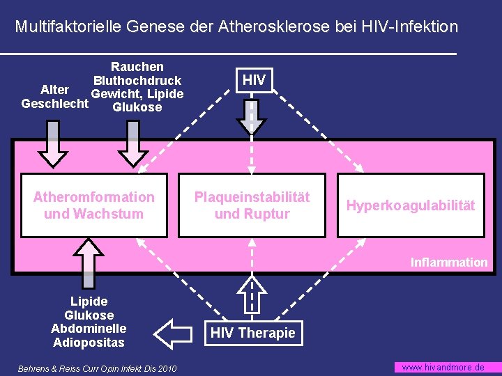 Multifaktorielle Genese der Atherosklerose bei HIV-Infektion Rauchen Bluthochdruck Alter Gewicht, Lipide Geschlecht Glukose Atheromformation