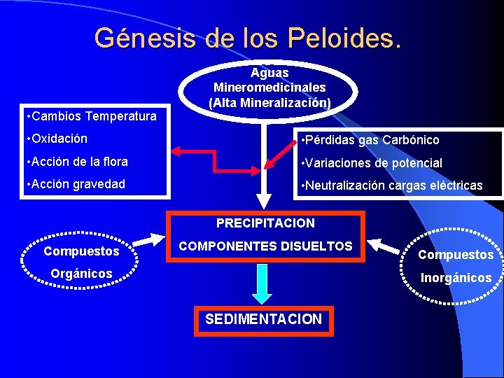 Génesis de los Peloides. • Cambios Temperatura Aguas Mineromedicinales (Alta Mineralización) • Oxidación •