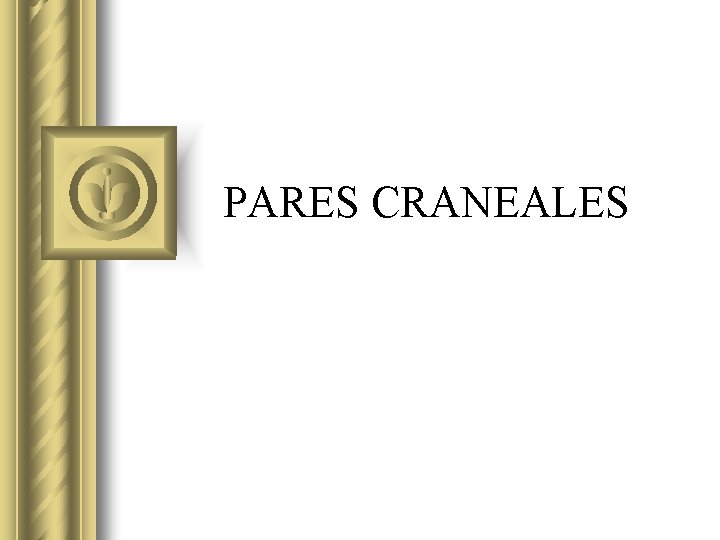 PARES CRANEALES 