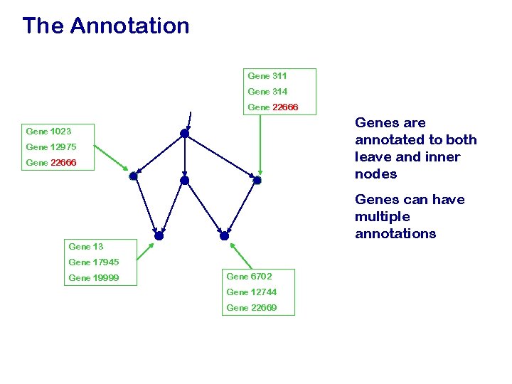 The Annotation Gene 311 Gene 314 Gene 22666 Genes are annotated to both leave
