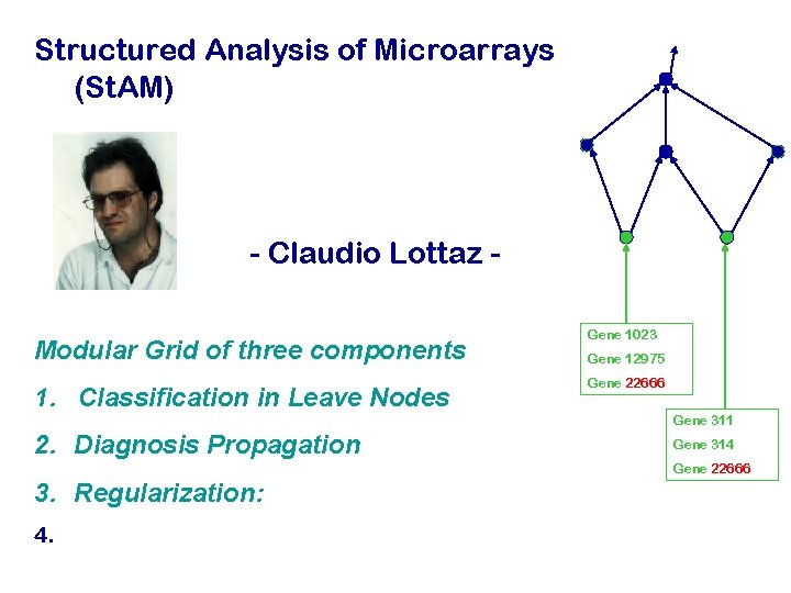 Structured Analysis of Microarrays (St. AM) - Claudio Lottaz Modular Grid of three components