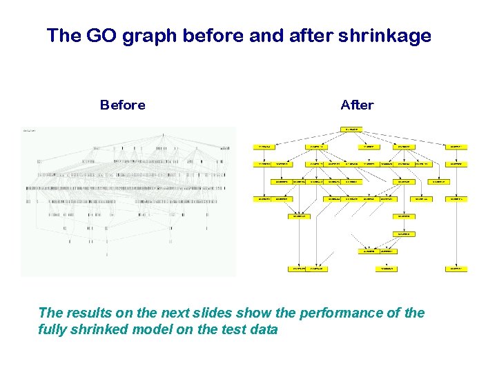 The GO graph before and after shrinkage Before After The results on the next