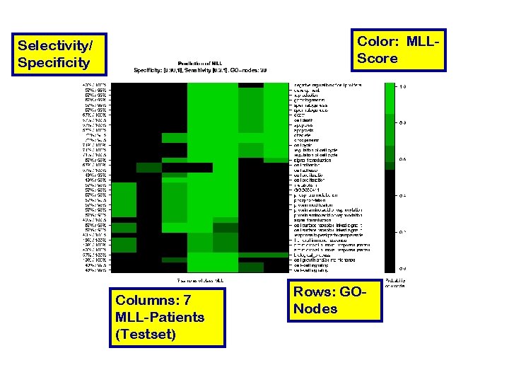Color: MLLScore Selectivity/ Specificity Columns: 7 MLL-Patients (Testset) Rows: GONodes 