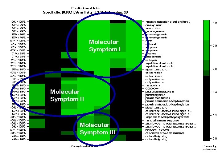 Molecular Symptom III 