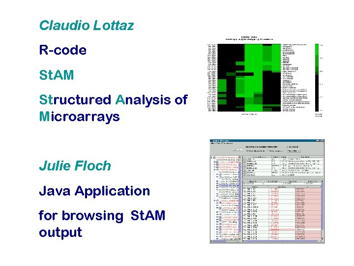 Claudio Lottaz R-code St. AM Structured Analysis of Microarrays Julie Floch Java Application for