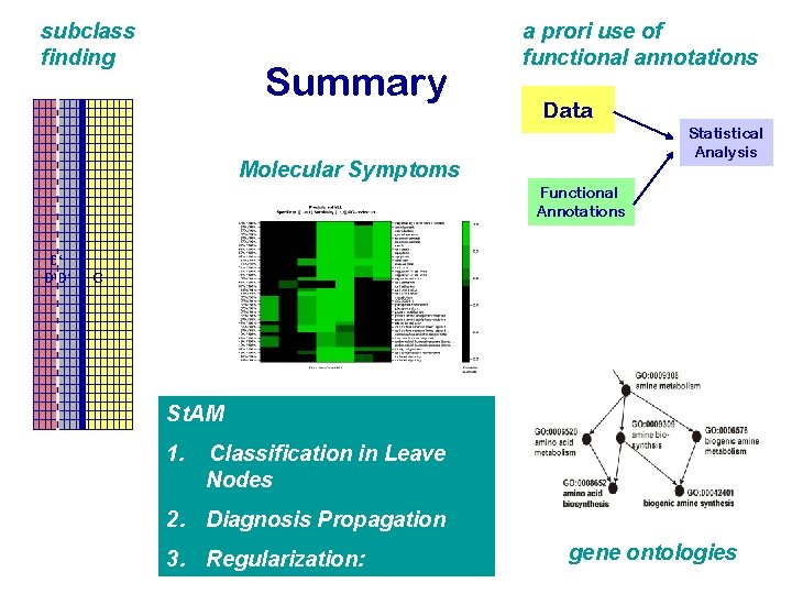subclass finding Summary a prori use of functional annotations Data Statistical Analysis Molecular Symptoms