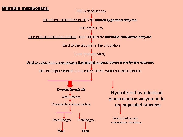 Bilirubin metabolism: RBCs destructions Hb which catabolized in RES by hemeoxygenase enzyme. Biliverdin +