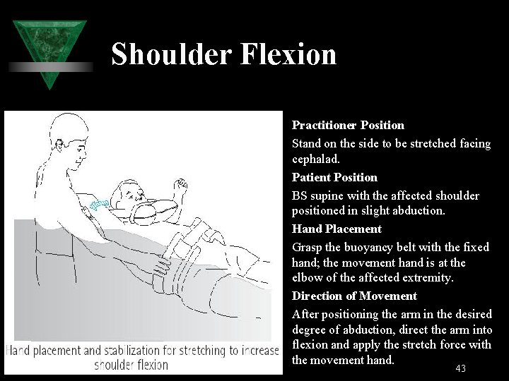 Shoulder Flexion Practitioner Position Stand on the side to be stretched facing cephalad. Patient