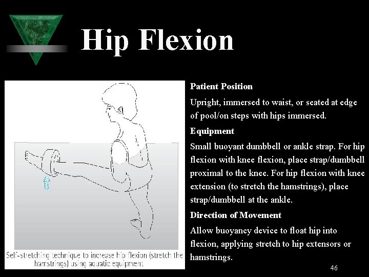 Hip Flexion Patient Position Upright, immersed to waist, or seated at edge of pool/on