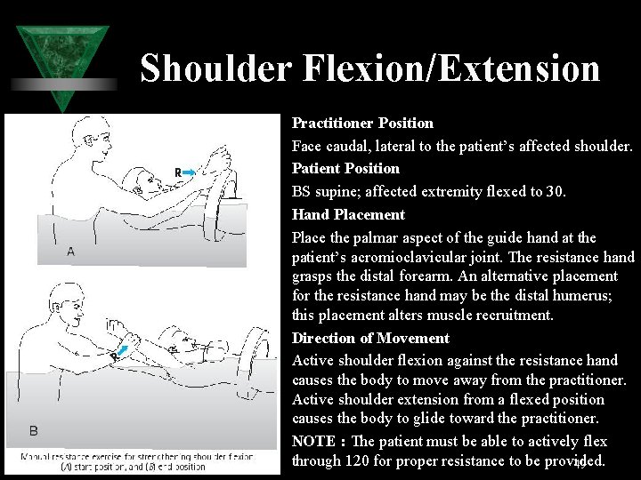 Shoulder Flexion/Extension Practitioner Position Face caudal, lateral to the patient’s affected shoulder. Patient Position