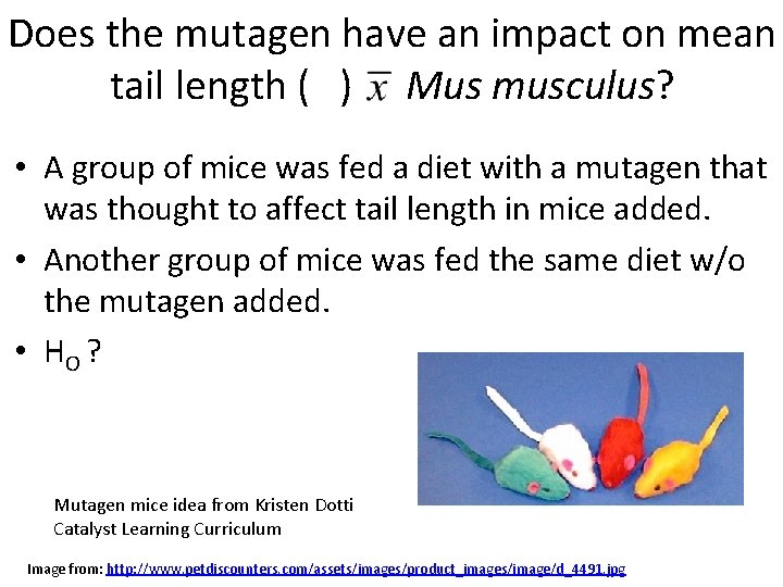 Does the mutagen have an impact on mean tail length ( ) in Mus