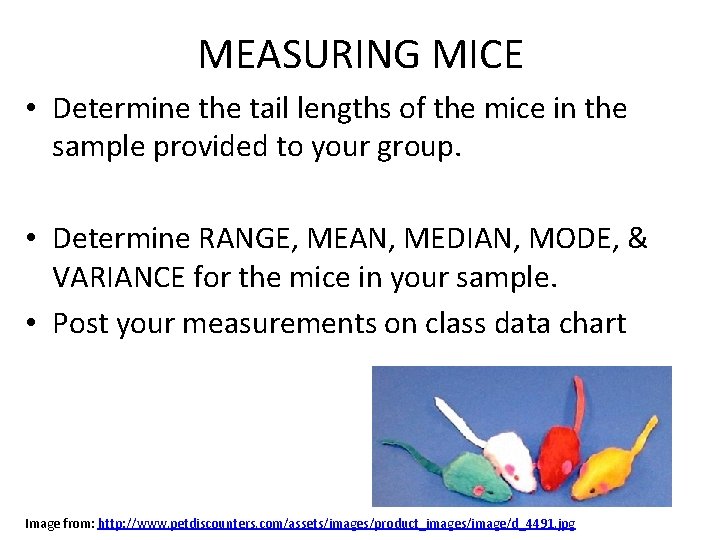 MEASURING MICE • Determine the tail lengths of the mice in the sample provided