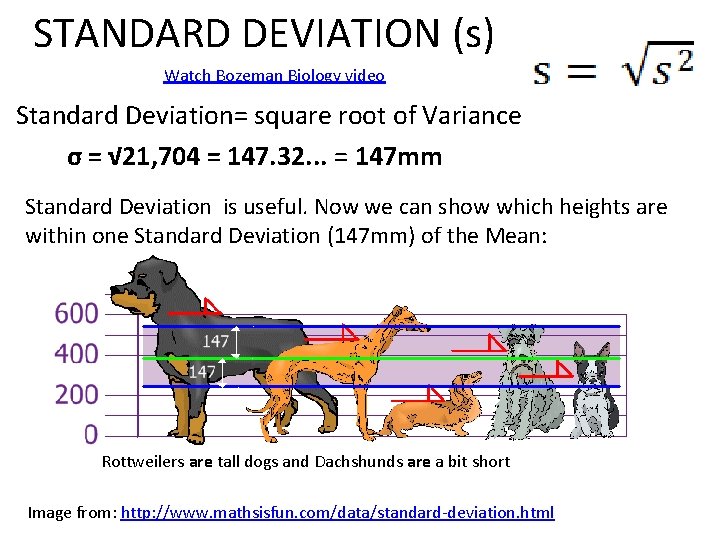 STANDARD DEVIATION (s) Watch Bozeman Biology video Standard Deviation= square root of Variance σ