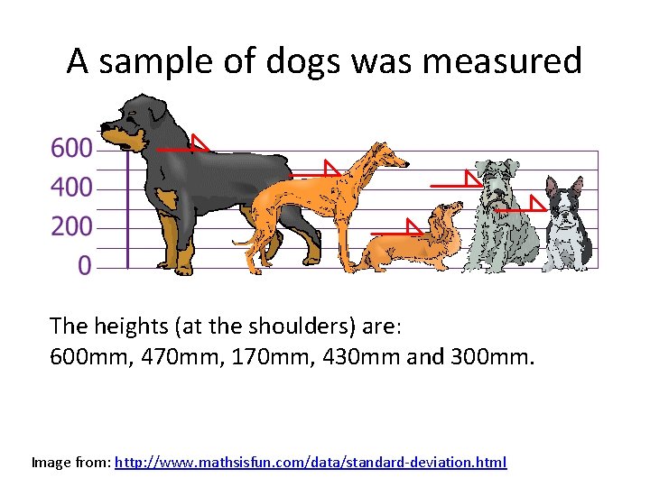 A sample of dogs was measured The heights (at the shoulders) are: 600 mm,