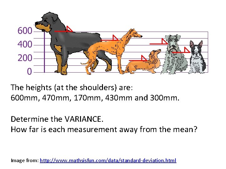 The heights (at the shoulders) are: 600 mm, 470 mm, 170 mm, 430 mm