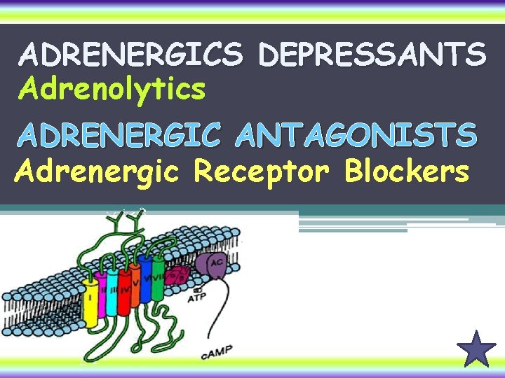 ADRENERGICS DEPRESSANTS Adrenolytics ADRENERGIC ANTAGONISTS Adrenergic Receptor Blockers 