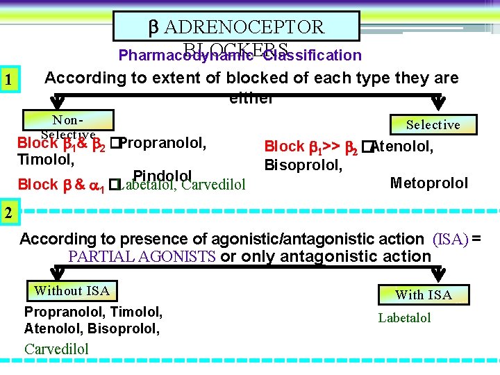  ADRENOCEPTOR BLOCKERS Pharmacodynamic Classification 1 According to extent of blocked of each type