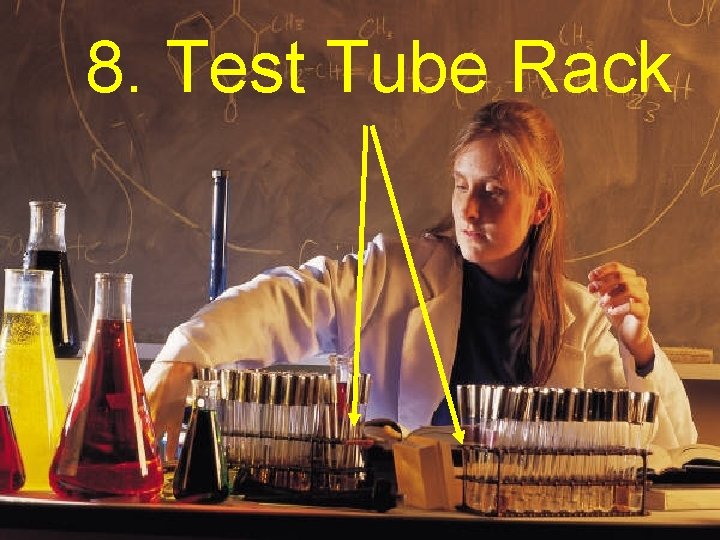 8. Test Tube Rack 