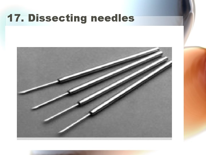 17. Dissecting needles 