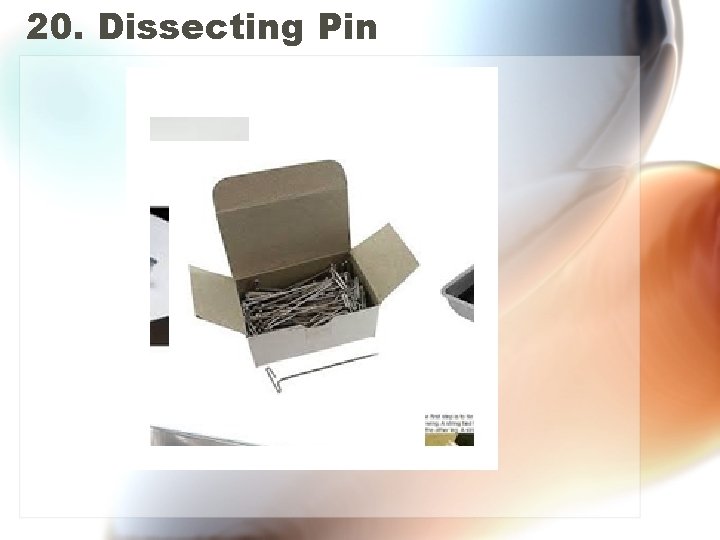 20. Dissecting Pin 
