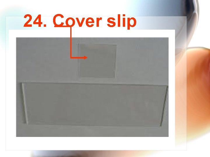 24. Cover slip 