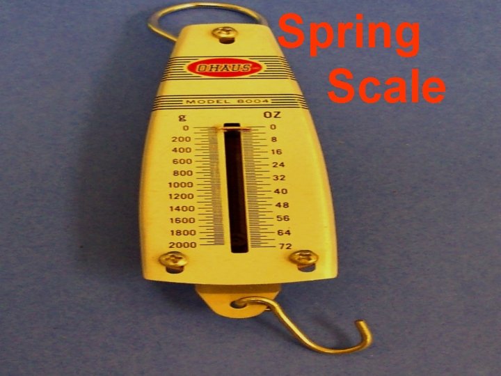 Spring Scale 