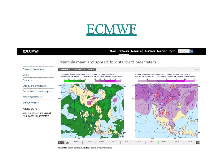 ECMWF 