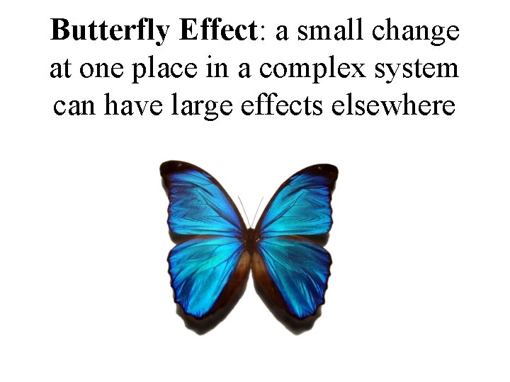 Butterfly Effect: a small change at one place in a complex system can have