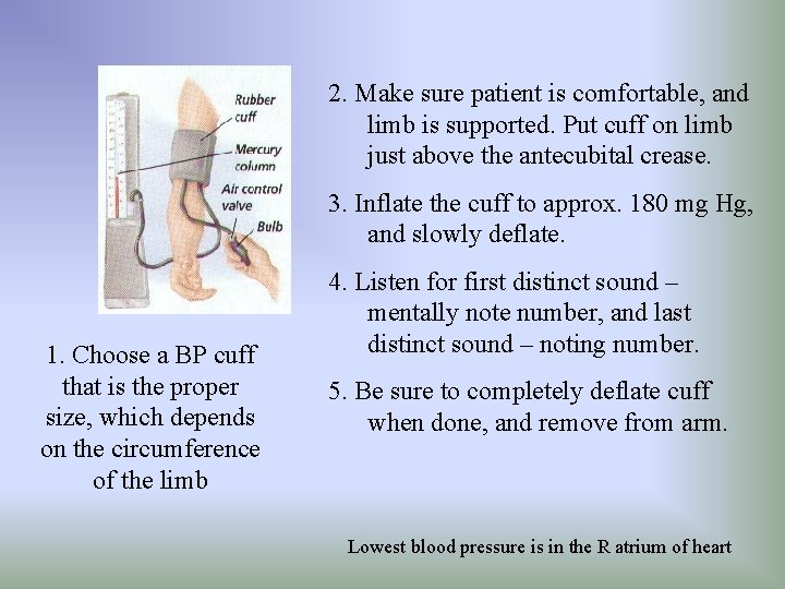 2. Make sure patient is comfortable, and limb is supported. Put cuff on limb