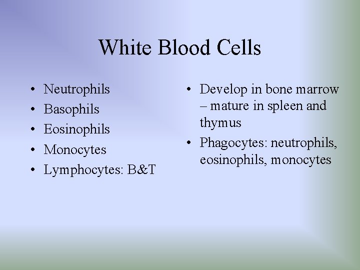 White Blood Cells • • • Neutrophils Basophils Eosinophils Monocytes Lymphocytes: B&T • Develop