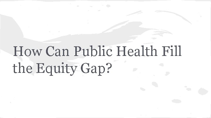 How Can Public Health Fill the Equity Gap? 