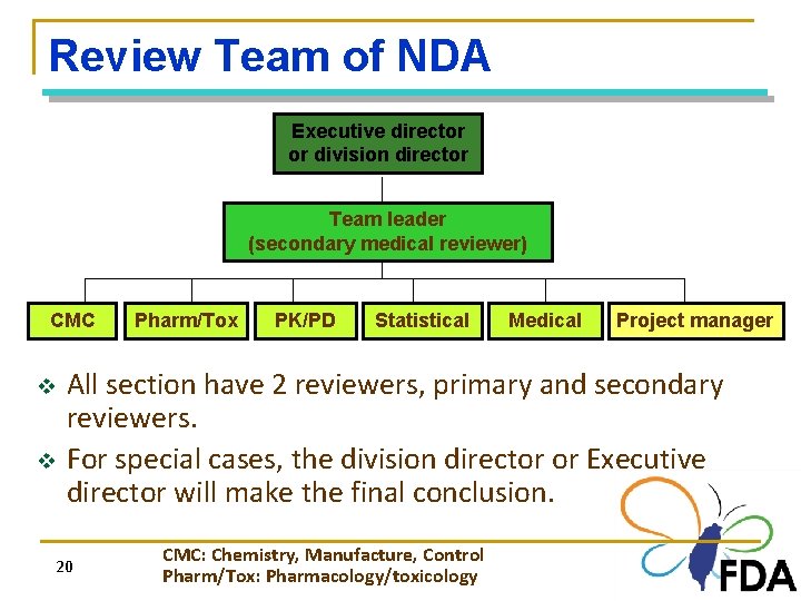 Review Team of NDA Executive director or division director Team leader (secondary medical reviewer)