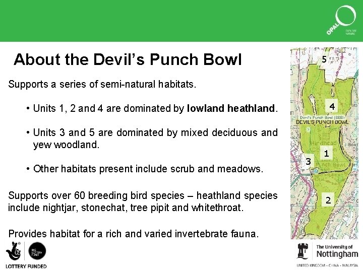 About the Devil’s Punch Bowl 5 Supports a series of semi-natural habitats. 4 •