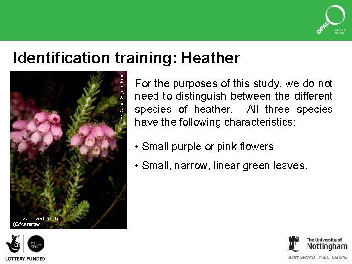 © David Glynne Fox Identification training: Heather For the purposes of this study, we