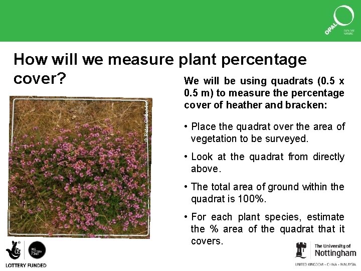 © Peter Crittenden How will we measure plant percentage cover? We will be using