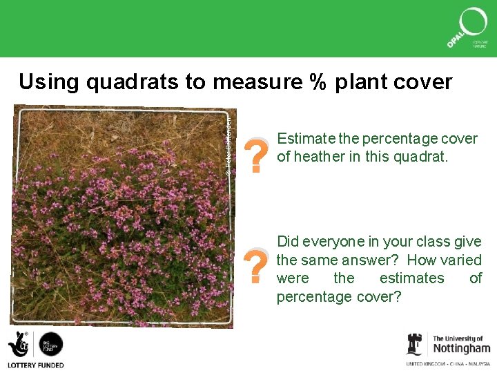 © Peter Crittenden Using quadrats to measure % plant cover ? Estimate the percentage