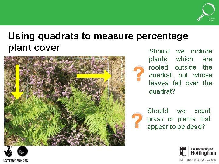 © Peter Crittenden Using quadrats to measure percentage plant cover Should we ? include