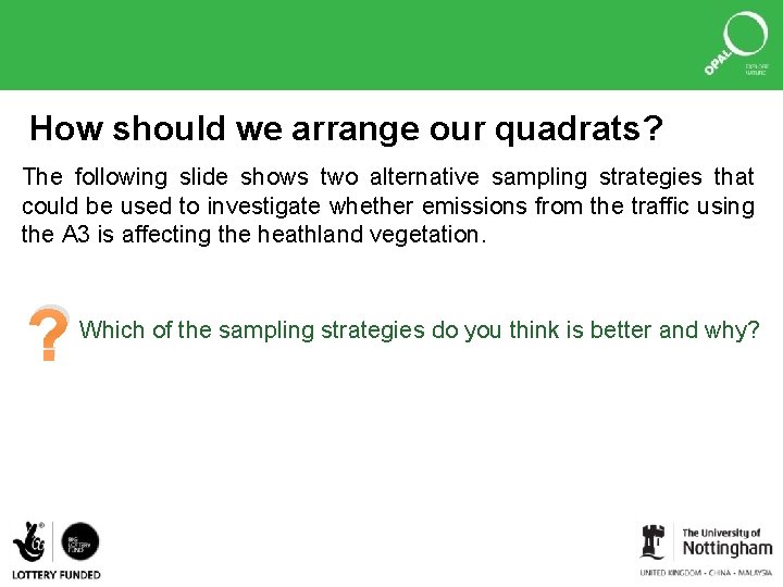 How should we arrange our quadrats? The following slide shows two alternative sampling strategies