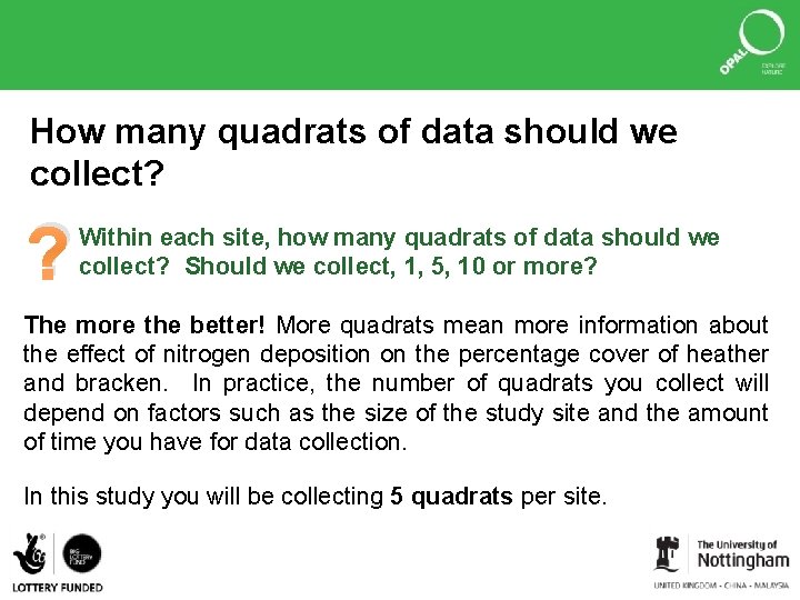 How many quadrats of data should we collect? ? Within each site, how many