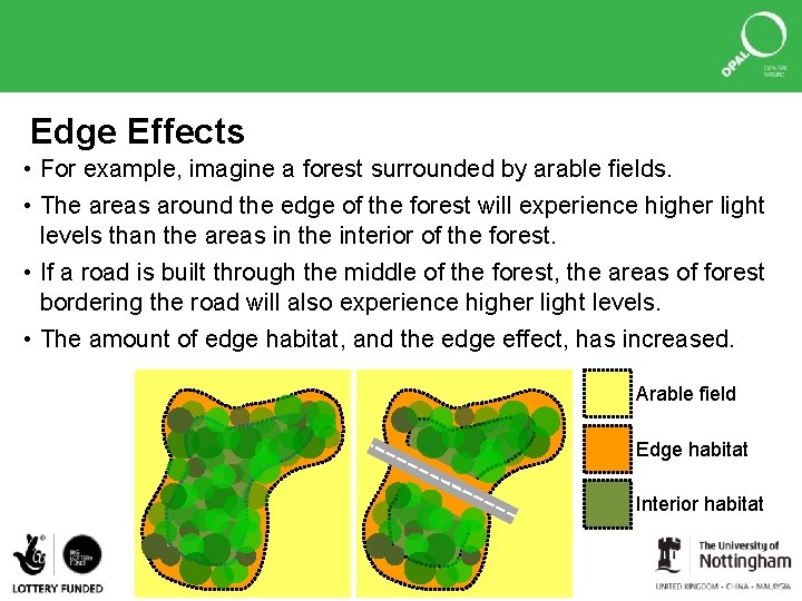 Edge Effects • For example, imagine a forest surrounded by arable fields. • The