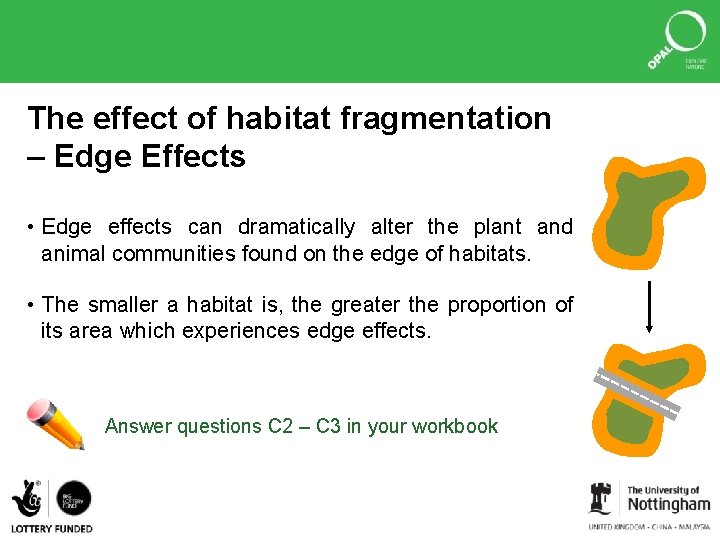 The effect of habitat fragmentation – Edge Effects • Edge effects can dramatically alter