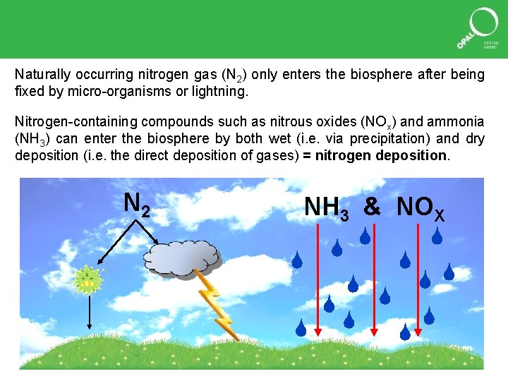 Naturally occurring nitrogen gas (N 2) only enters the biosphere after being fixed by