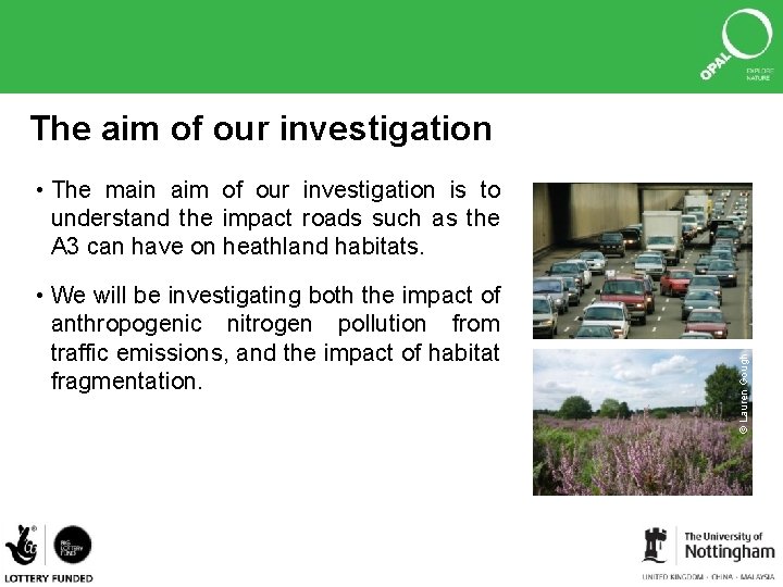 The aim of our investigation • We will be investigating both the impact of