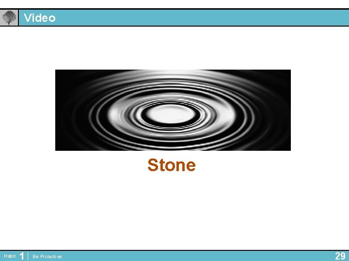 Video Stone Habit 1 Be Proactive 29 