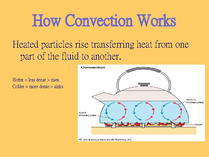 How Convection Works Heated particles rise transferring heat from one part of the fluid