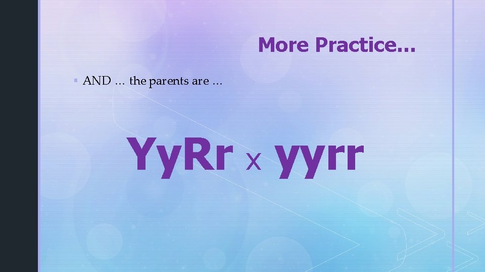 More Practice… § AND … the parents are … Yy. Rr x yyrr 